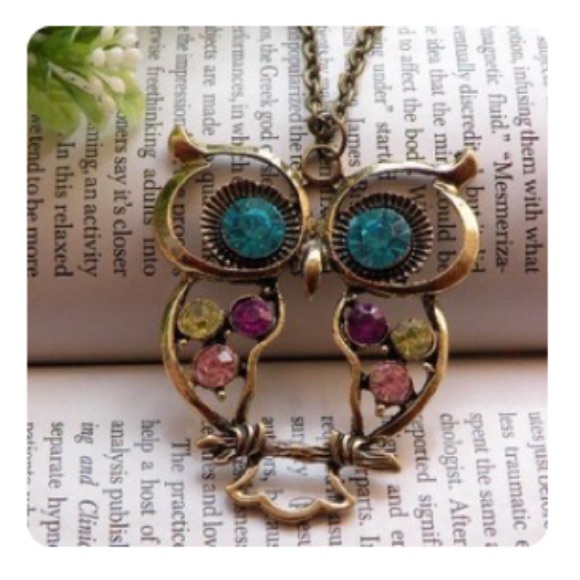 Jewelry - BN vintage copper jeweled owl necklace
